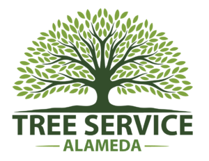 Tree Service Alameda